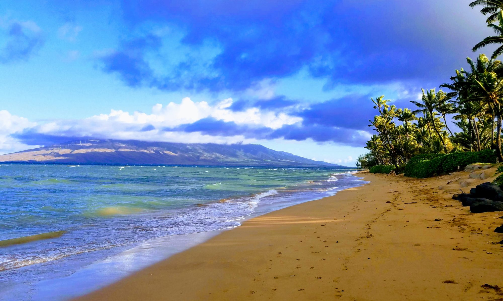 Pet Rock Holidays On Maui